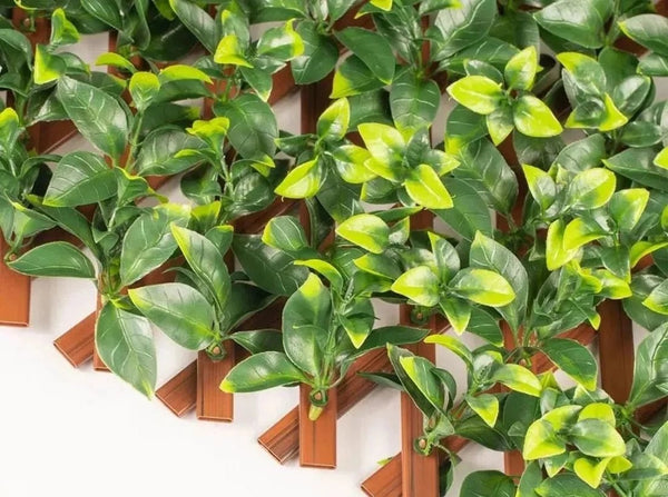 Expandable Faux Privacy Fence: What It Is, What It Isn't and When It's the Right Choice