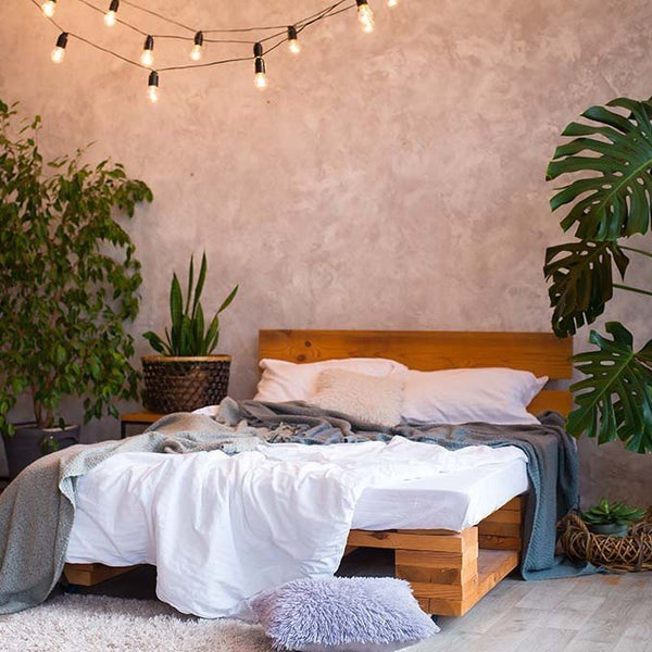 Fake Plants in the Bedroom: Yay or Nay? - Designer Plants USA
