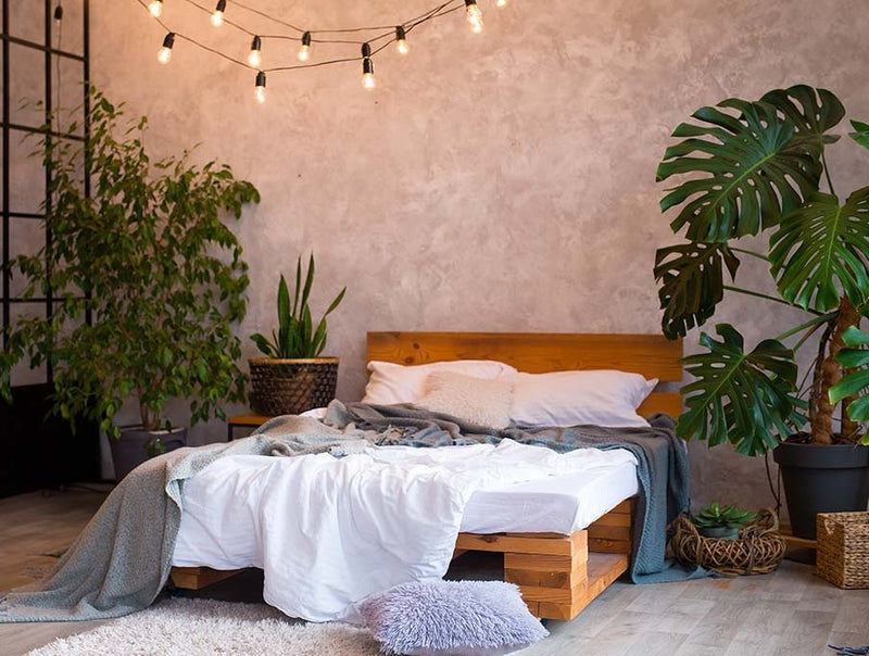 Fake Plants in the Bedroom: Yay or Nay?