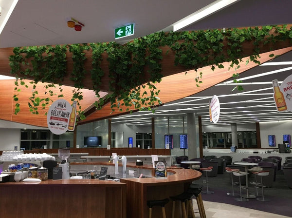 hanging garlands indoors setup
