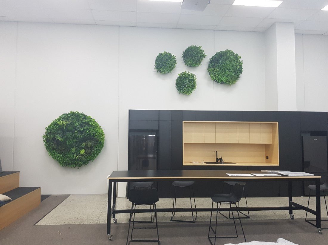 Una agencia crea un encanto duradero con discos de pared verde artificial