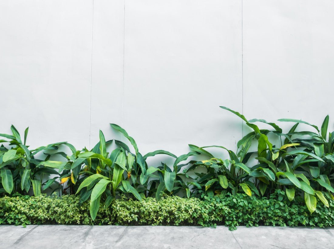 How to Install Artificial Green Walls on Stucco Walls?