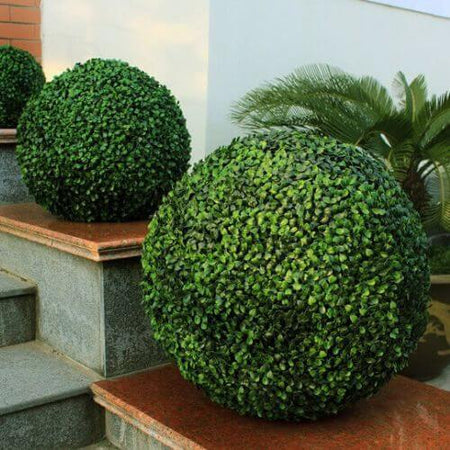 Boxwood Artificial Topiary 