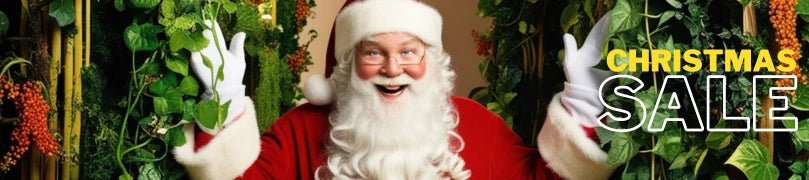 Christmas Clearance - Designer Plants USA