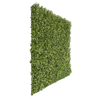 Sample Panel – Natural Boxwood Green Wall (Small Sample)