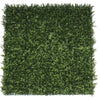 Sample Panel – Natural Boxwood Green Wall (Small Sample)