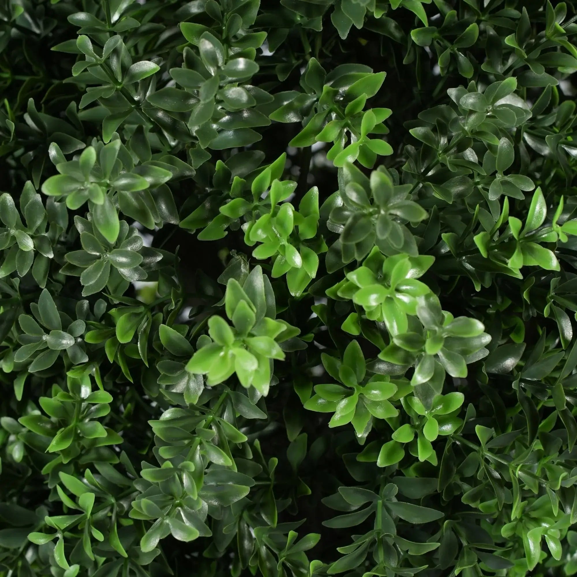 Potted Boxwood Shrub Artificial Topiary Set of 2 – UV Resistant