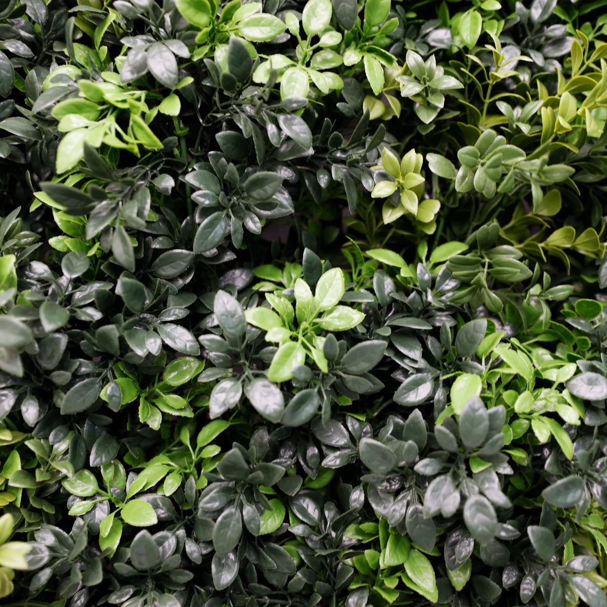 Mixed Green Ultra Dense Boxwood Artificial Vertical Garden Green Wall Panel 40×40in 11 SQ FT – NFPA701 Fire Rated – Metal Backed – UV Resistant – Commercial Grade