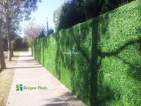 Sample Panel – Dark Boxwood Green Wall (Small Sample)