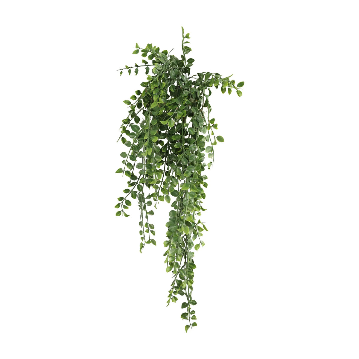 Artificial hanging garland with bead-like foliage in dark green color.