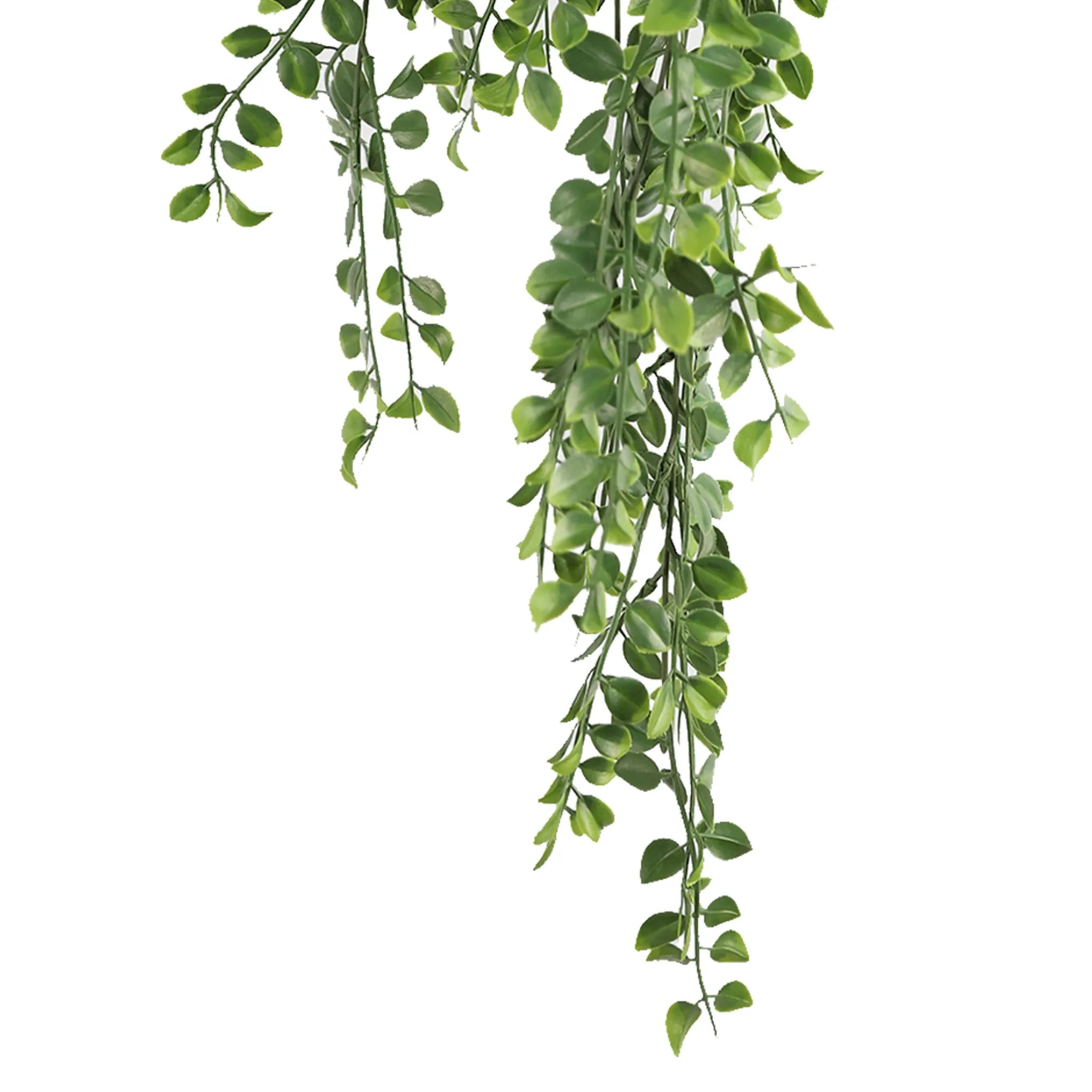 Set of 10 – Artificial Hanging Pearls Garland Bushes – Dark Green UV Resistant & Fire Rated | 7.8in x 31in (20cm x 79cm Each)