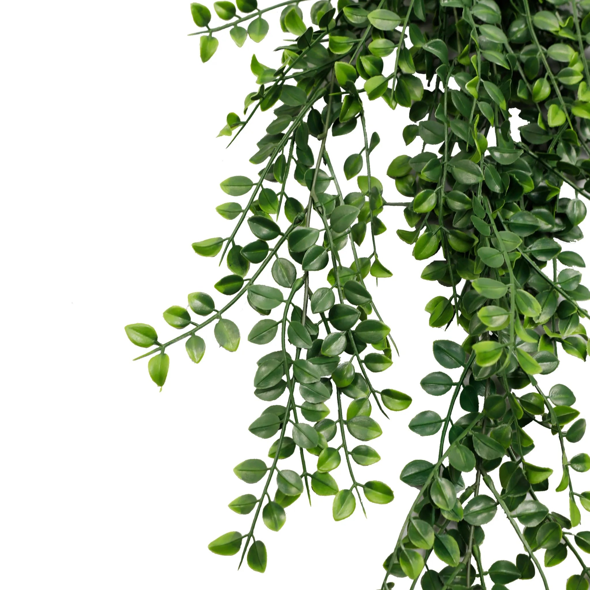 Set of 10 – Artificial Hanging Pearls Garland Bushes – Dark Green UV Resistant & Fire Rated | 7.8in x 31in (20cm x 79cm Each)