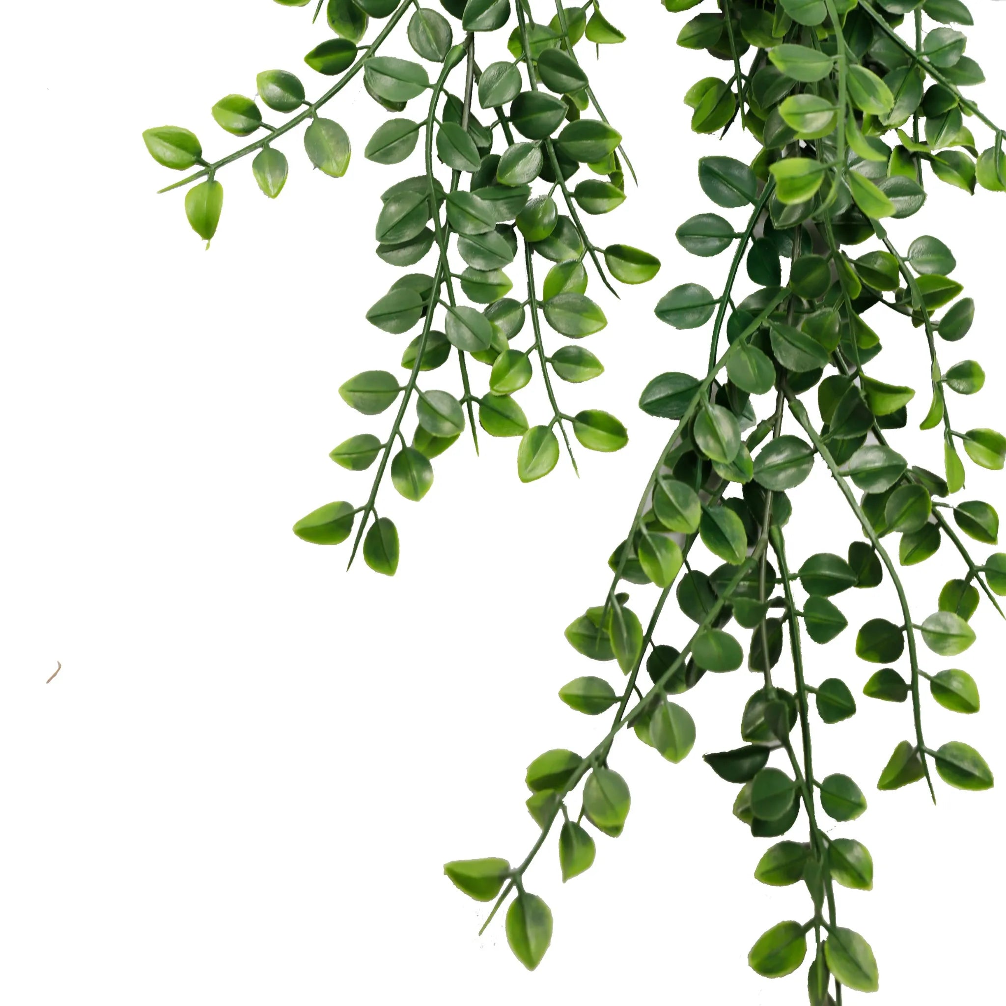 Set of 10 – Artificial Hanging Pearls Garland Bushes – Dark Green UV Resistant & Fire Rated | 7.8in x 31in (20cm x 79cm Each)