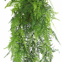 Lace Fern Garland Artificial Hanging Bush 5.9×30in – NFPA701 Fire Rated – UV Resistant