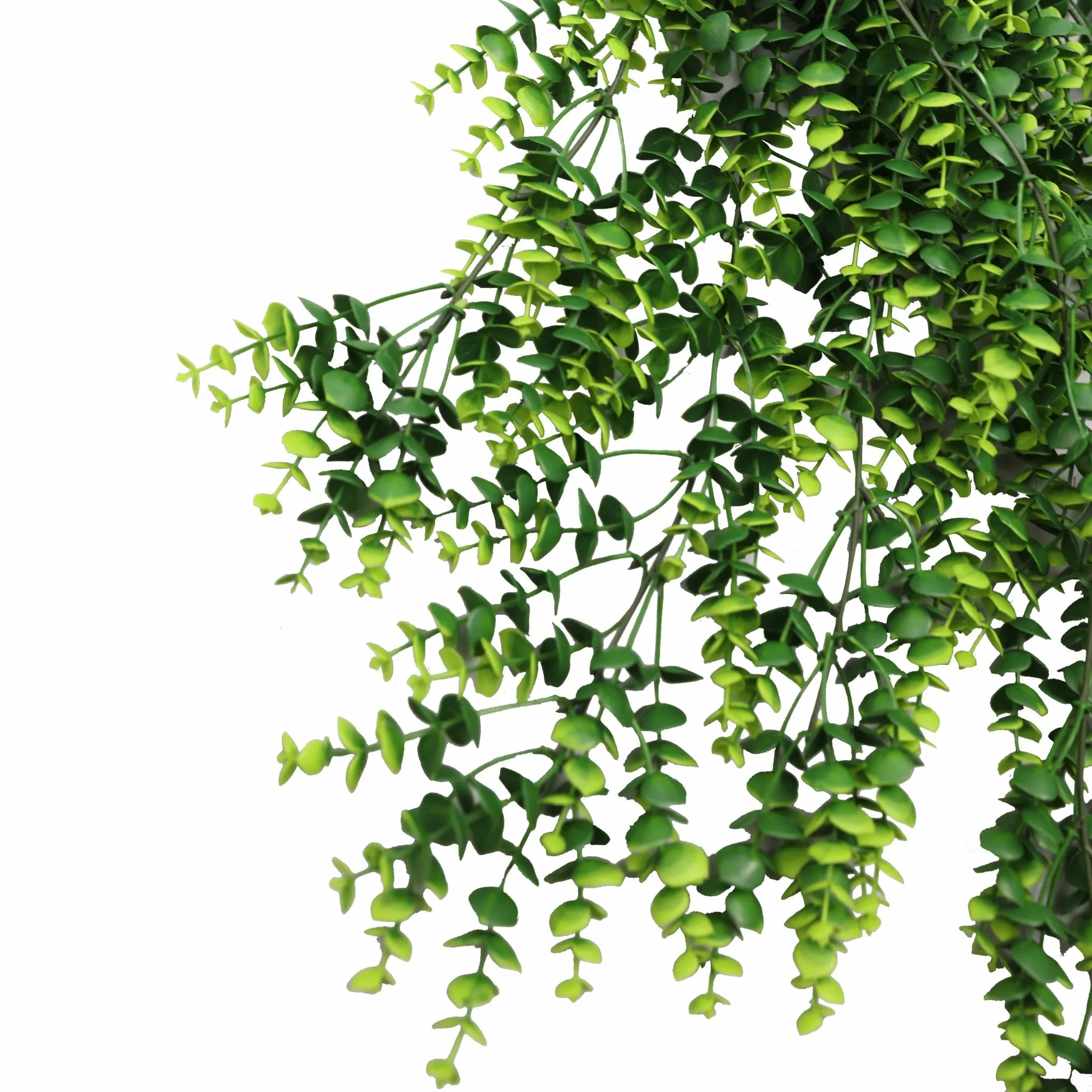 Set of 10 – Artificial Dense Hanging Lush Green Eucalyptus Garland Bushes UV Resistant & Fire Rated | 7.1in x 30.5in (18cm x 77cm Each)