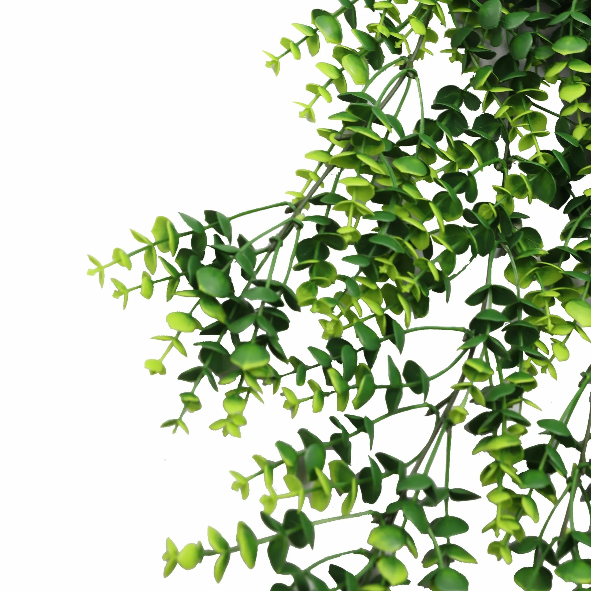 Set of 10 – Artificial Dense Hanging Lush Green Eucalyptus Garland Bushes UV Resistant & Fire Rated | 7.1in x 30.5in (18cm x 77cm Each)