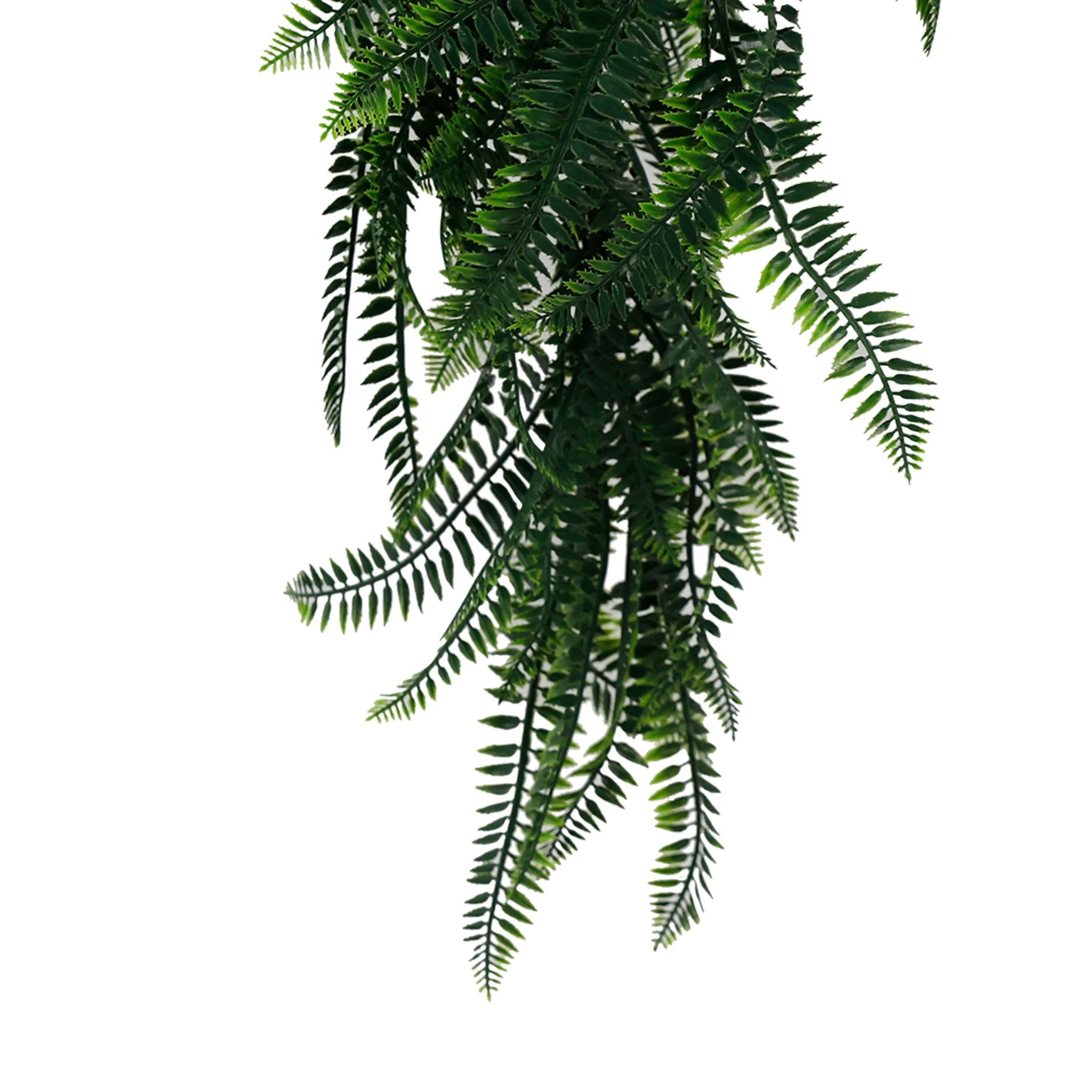Set of 10 – Artificial Hanging Dense Boston Fern Garland Bushes UV Resistant & Fire Rated | 10.6in x 33in (27cm x 84cm Each)