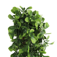 Creeping Fig Garland Artificial Hanging Bush 7.1×30in – NFPA701 Fire Rated – UV Resistant
