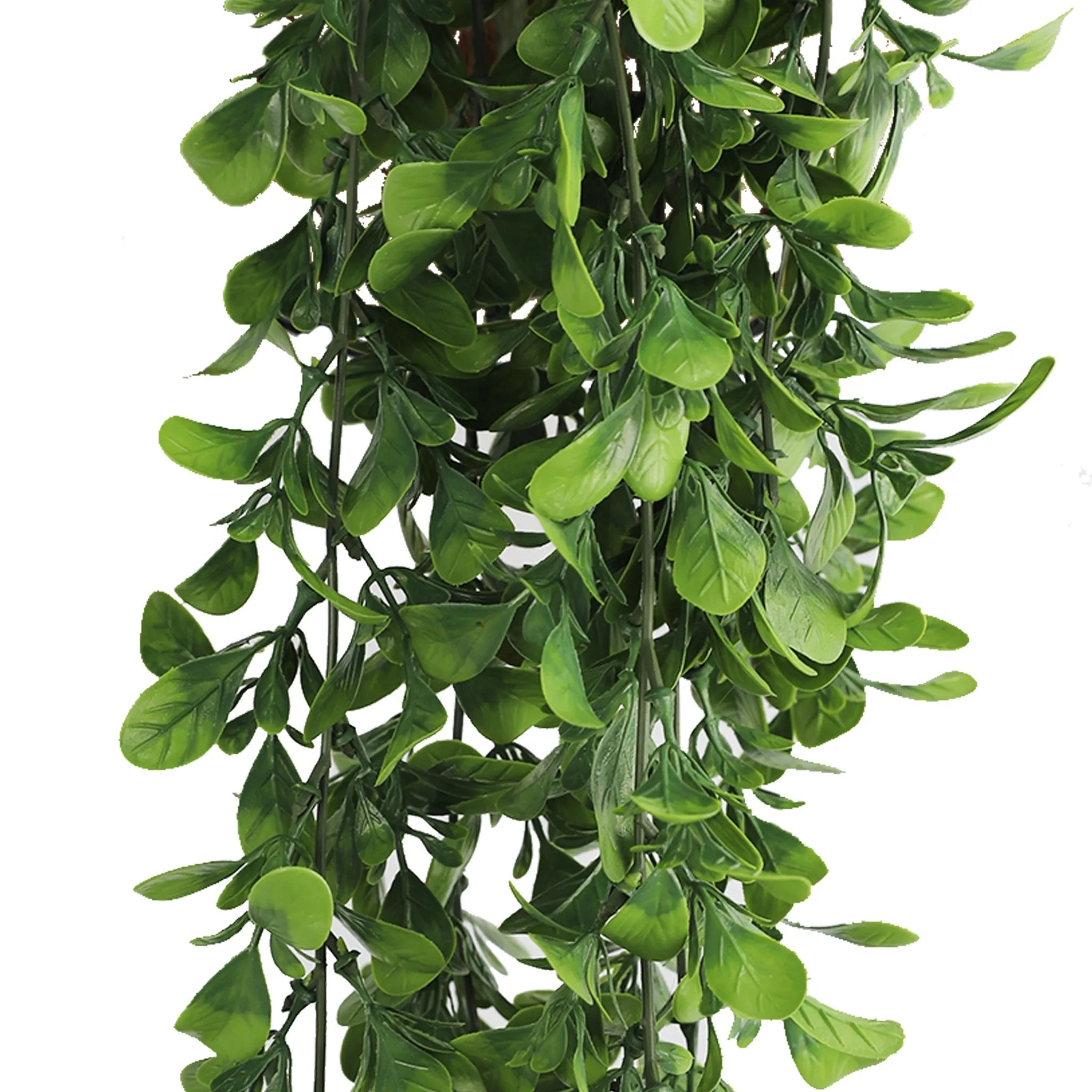 Set of 10 – Artificial Creeping Fig Garland Bushes (UV Resistant & Fire Rated | 7.1in x 30in | 18cm x 76cm Each)