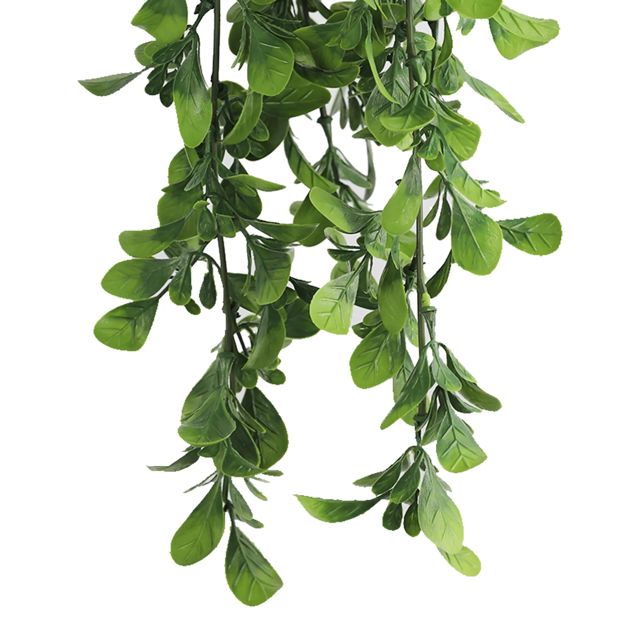 Set of 10 – Artificial Creeping Fig Garland Bushes (UV Resistant & Fire Rated | 7.1in x 30in | 18cm x 76cm Each)