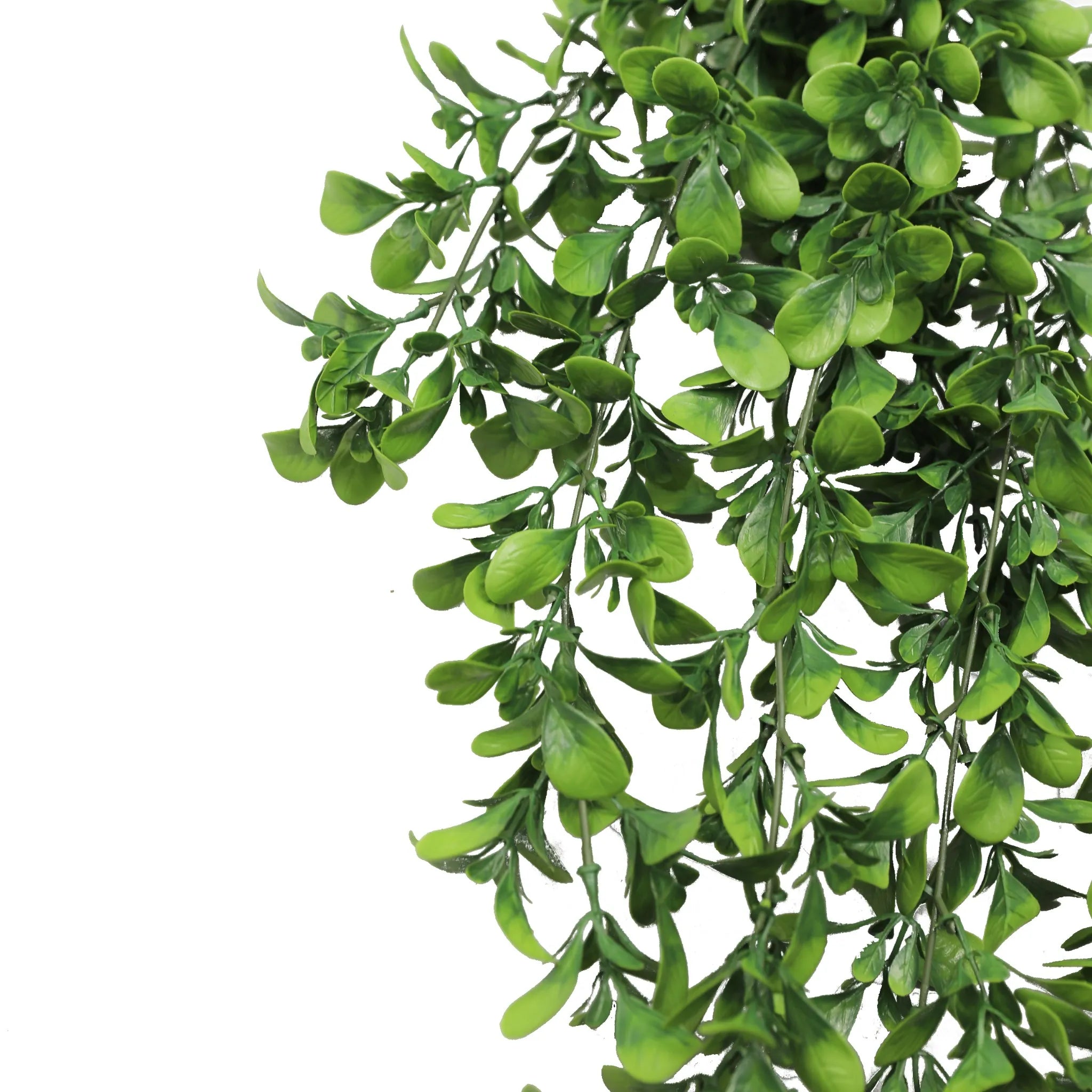 Set of 10 – Artificial Creeping Fig Garland Bushes (UV Resistant & Fire Rated | 7.1in x 30in | 18cm x 76cm Each)