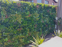 Luxury Plant Wall Panel on a Railing Fence for Privacy Screening California