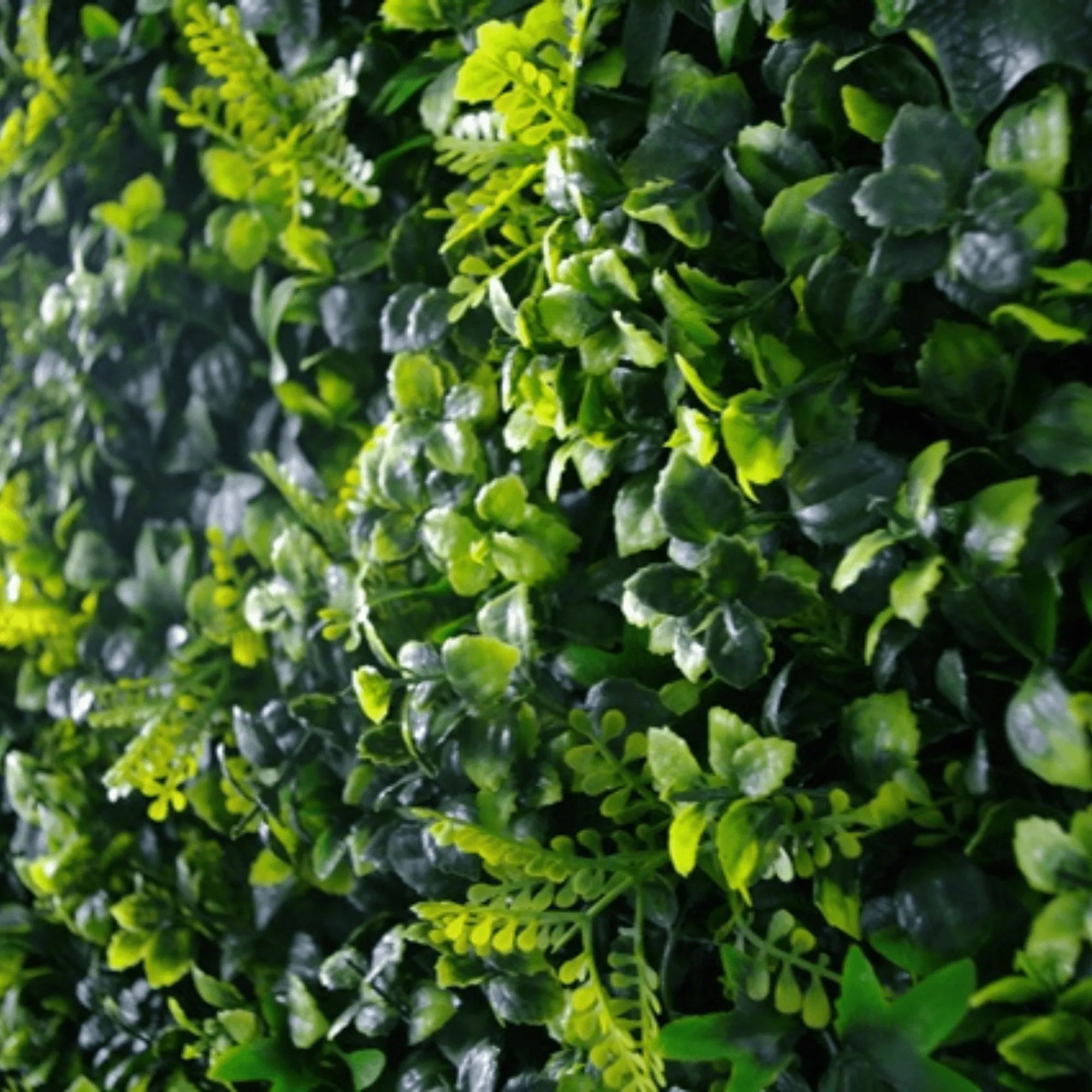 Panel de muestra de pared verde artificial de hiedra mixta (muestra pequeña) Grado comercial resistente a los rayos UV
