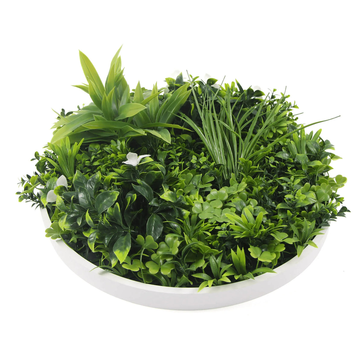Círculo verde artificial de lujo de la pared de la planta de la pared 20" resistente ULTRAVIOLETA del marco blanco