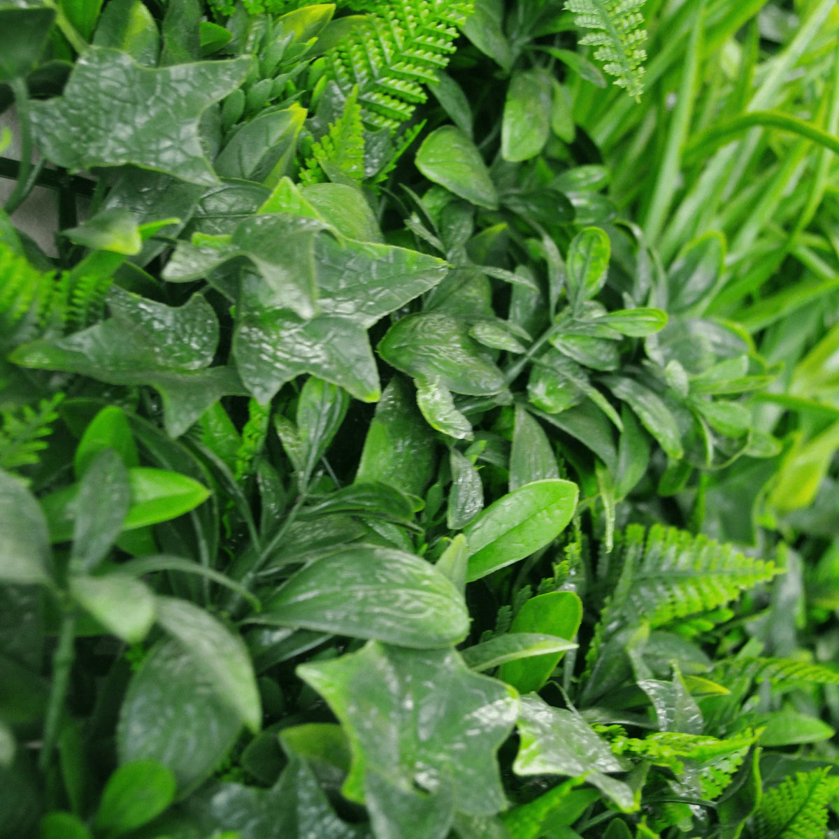 Muro artificial de lujo Green Tropics/pared verde 40 "x 40" 11 pies cuadrados resistente a los rayos UV de grado comercial