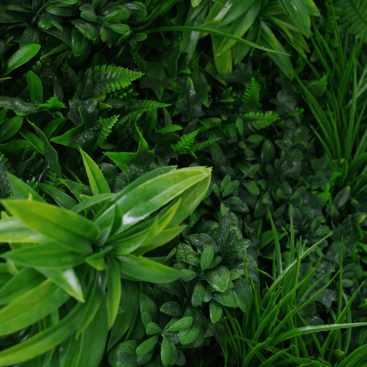 Muro artificial de lujo Green Tropics/pared verde 40 "x 40" 11 pies cuadrados resistente a los rayos UV de grado comercial