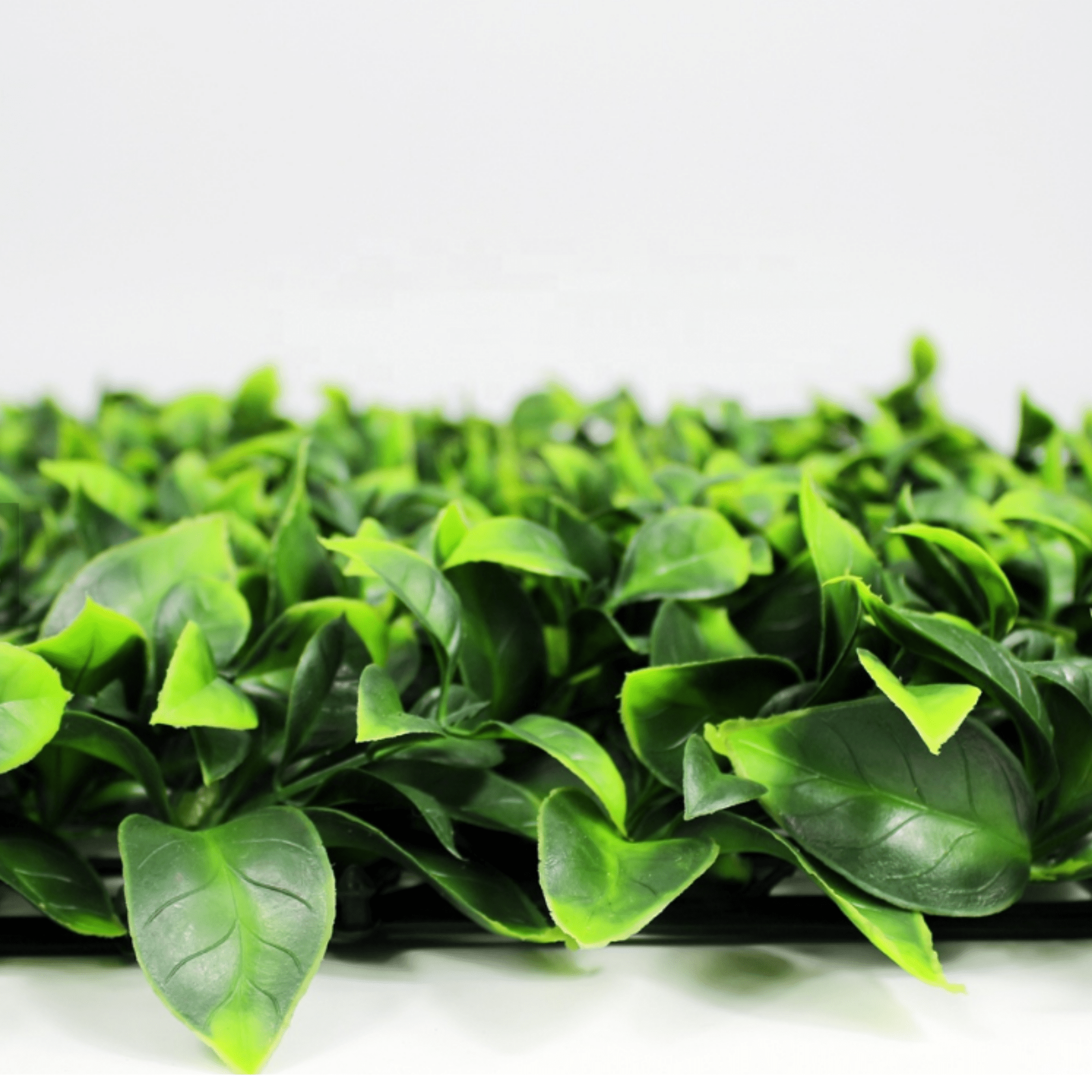 Jasmine Artificial Green Wall 40" x 40"
