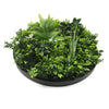 Círculo verde artificial de lujo de la pared de la planta de la pared 30" resistente ULTRAVIOLETA del marco negro