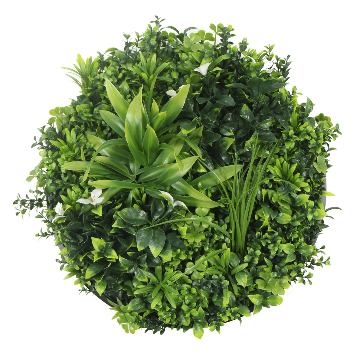 Círculo verde artificial de lujo de la pared de la planta de la pared 30" resistente ULTRAVIOLETA del marco negro