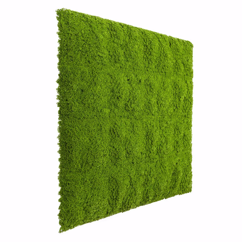 Faux Moss Wall with Ferns  Faux moss, Moss wall, Living wall art