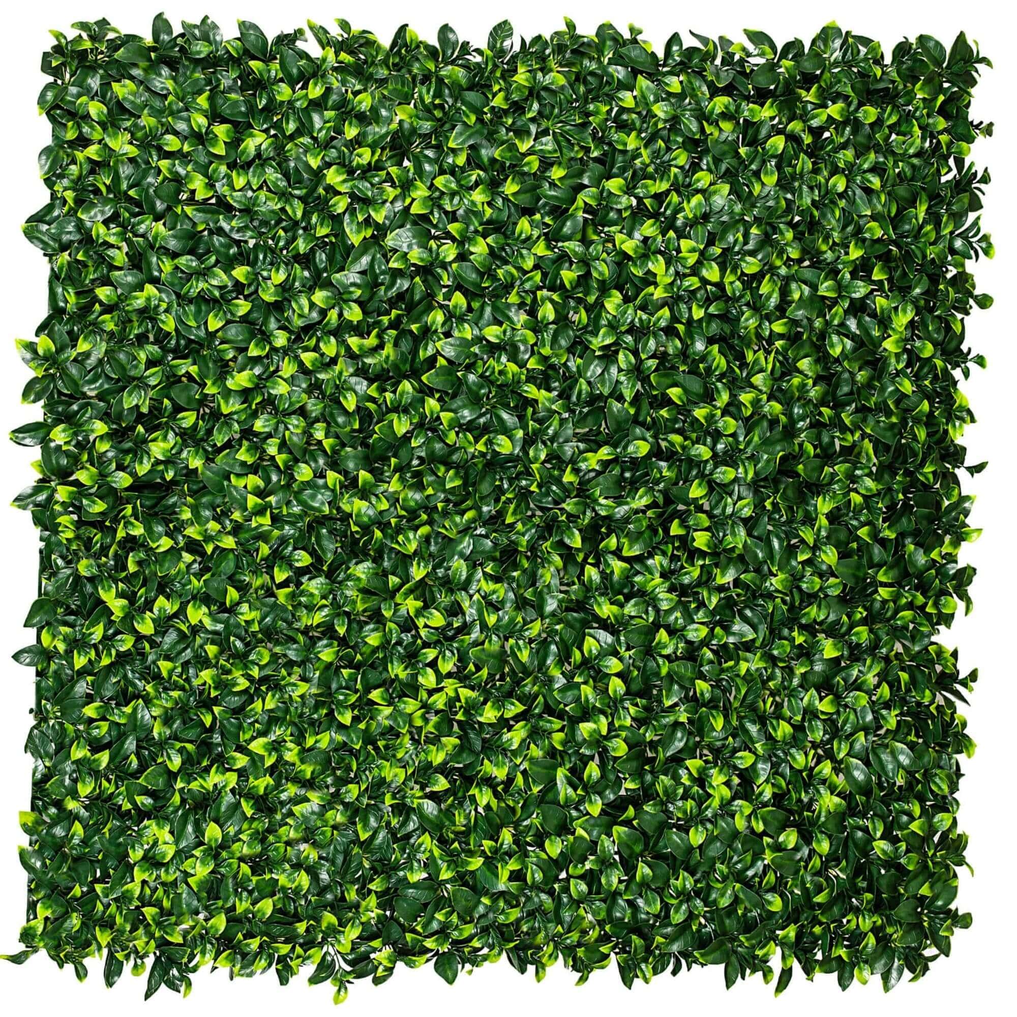 Sample Panel – Jasmine Green Wall (Small Sample)