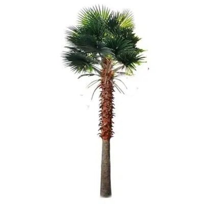 faux palm leaf plant Tall Artificial Mexican Fan Palm Tree (13ft - 23ft) UV Resistant (10-12 Week Back Order) 23ft