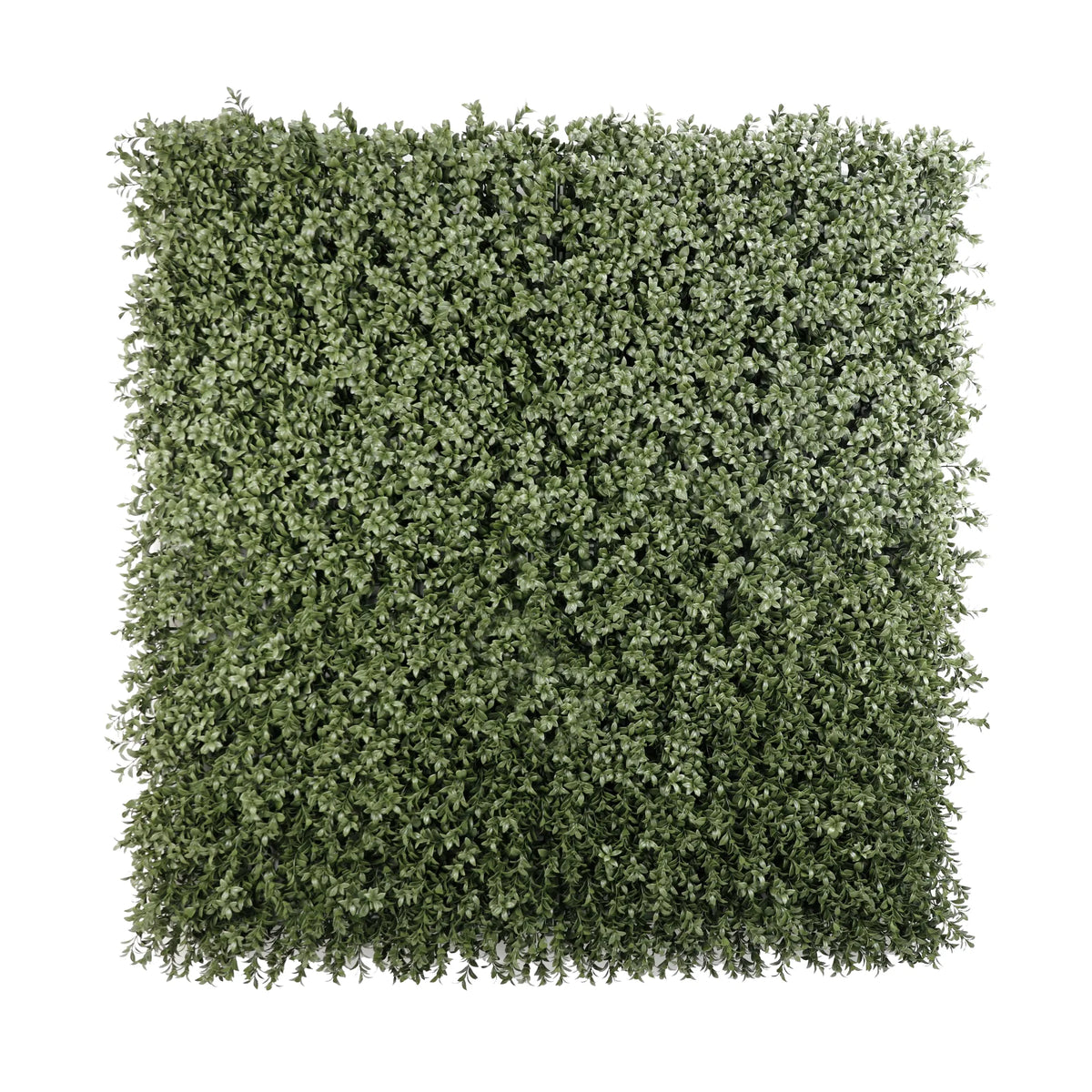 Dense Lush Boxwood Artificial Vertical Garden Green Wall Panel 40×40in 11 SQ FT – NFPA701 Fire Rated – UV Resistant – Commercial Grade