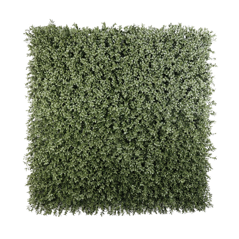 Dark Dark Green Extra Dense Boxwood Foliage 1m x 1m /40″x40″ Vertical Garden Wall UV+ FR