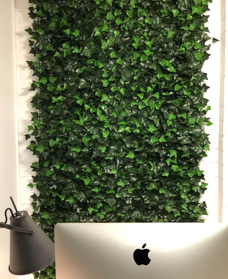 Artificial Ivy Hedge Panels in a Study Office