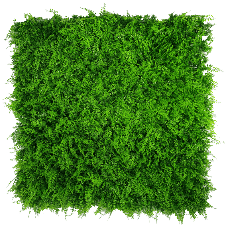 An artificial Sample Panel of Lush Fern Artificial Green Wall (Small Sample) Commercial Grade UV Resistant with UV protection on a white background.