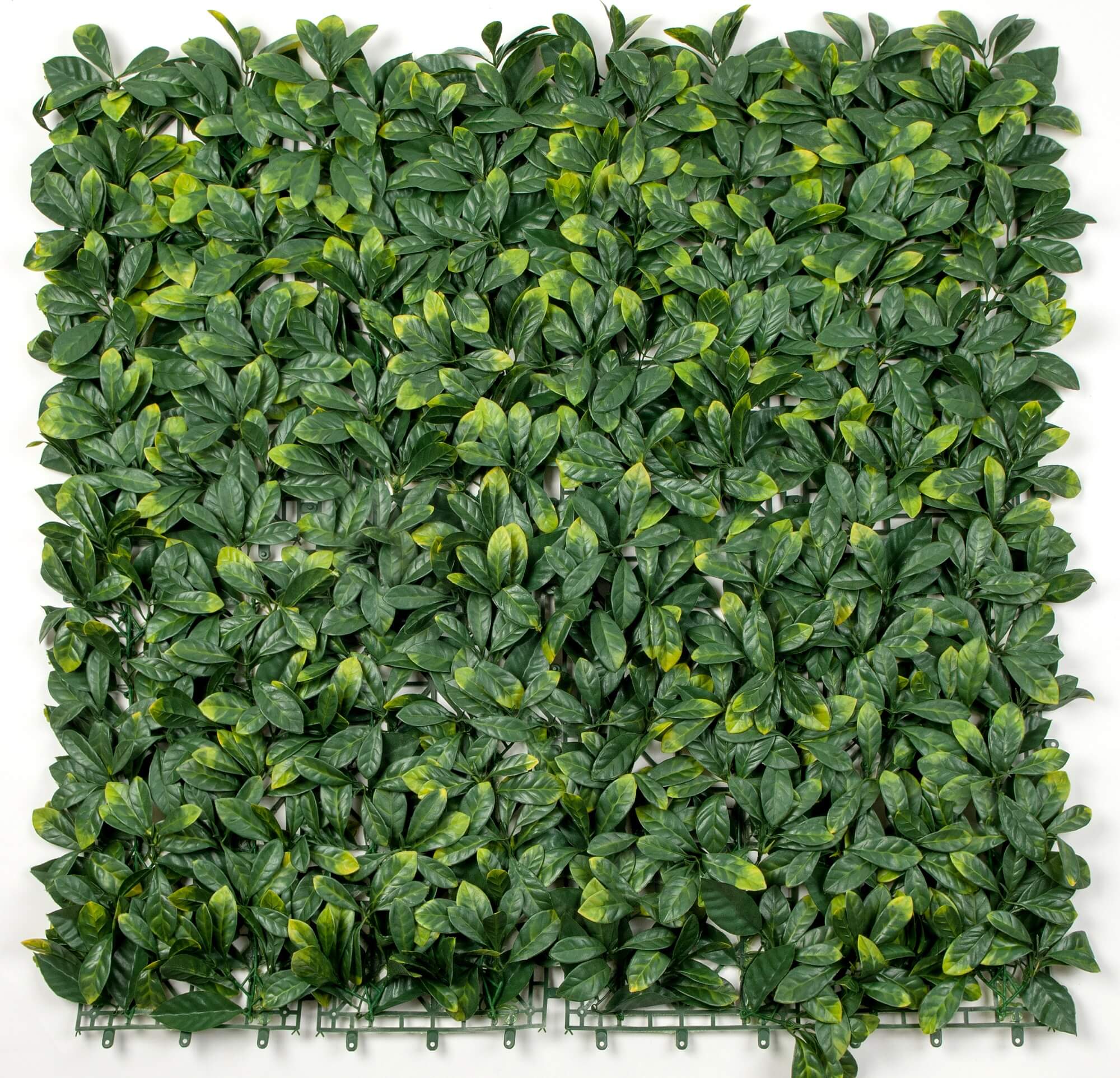 Premium Laurel Artificial Vertical Garden Wall 40