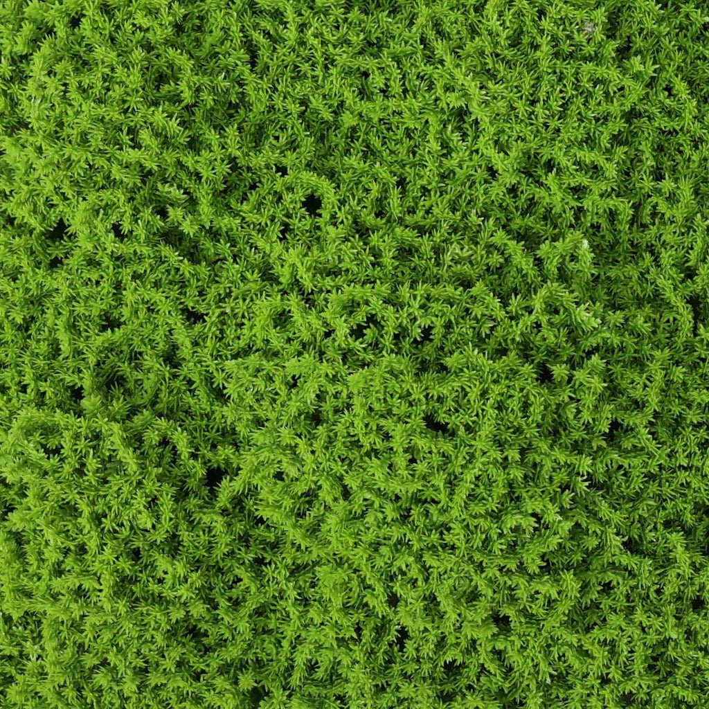 Artificial Evergreen Moss Mat Panels from NatraHedge®