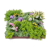 [TEST] Artificial Moss and Succulent Hanging Wall Art Frame 20" Square UV Resistant (Outdoor Proof)