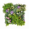 Artificial Moss and Succulent Hanging Wall Art Frame 20in – UV Resistant