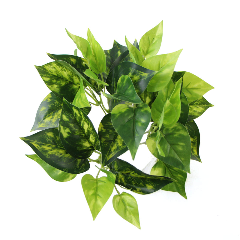 Artificial Pothos / Devil's Ivy Bush 9.5"
