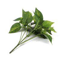 Pothos Devil's Ivy Artificial Hanging Bush 9.5in