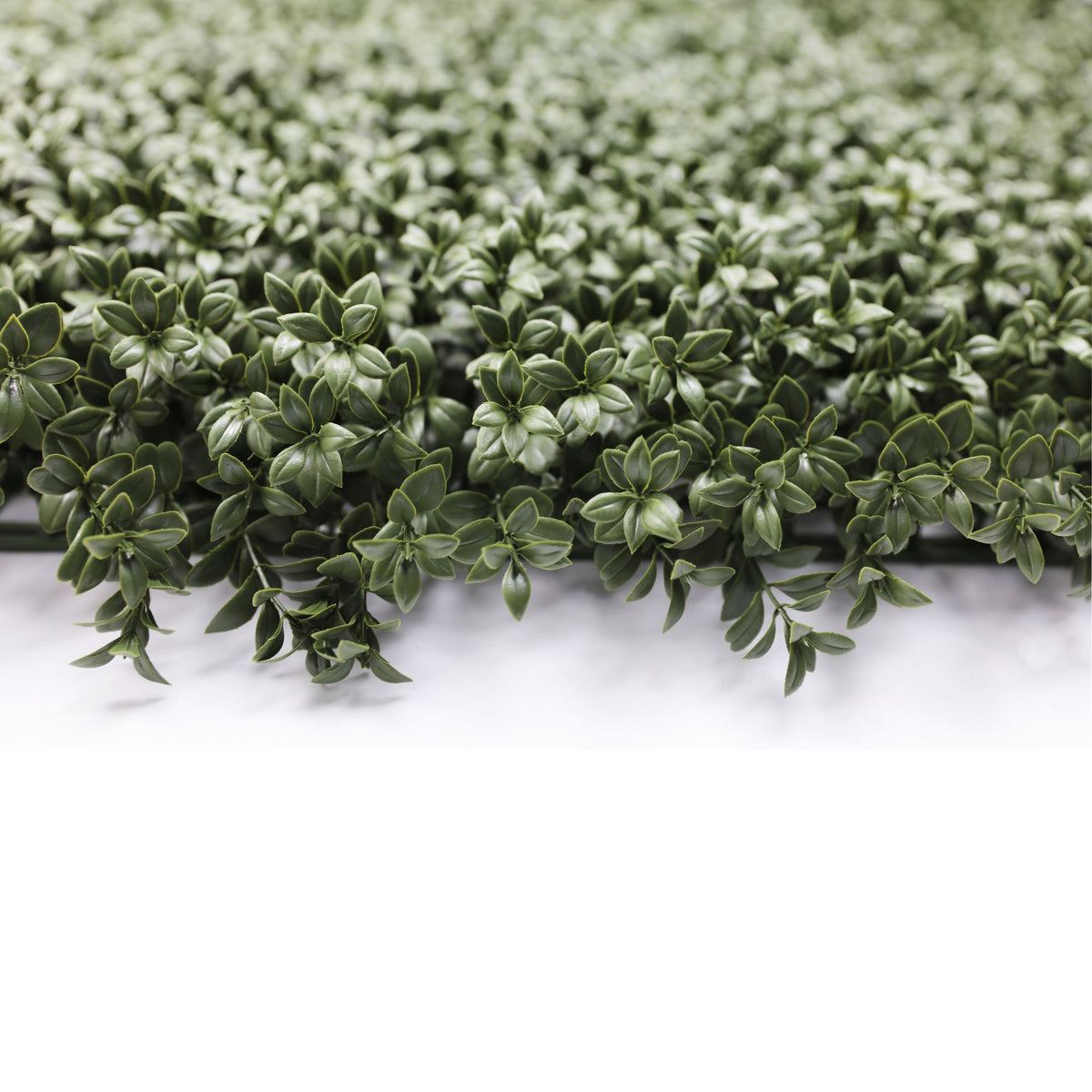 Dense Lush Boxwood Artificial Vertical Garden Green Wall Panel 40×40in 11 SQ FT – NFPA701 Fire Rated – UV Resistant – Commercial Grade
