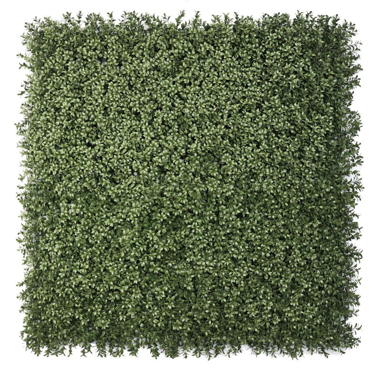 Dense Lush Boxwood Artificial Vertical Garden Green Wall Panel 40×40in 11 SQ FT – NFPA701 Fire Rated – UV Resistant – Commercial Grade