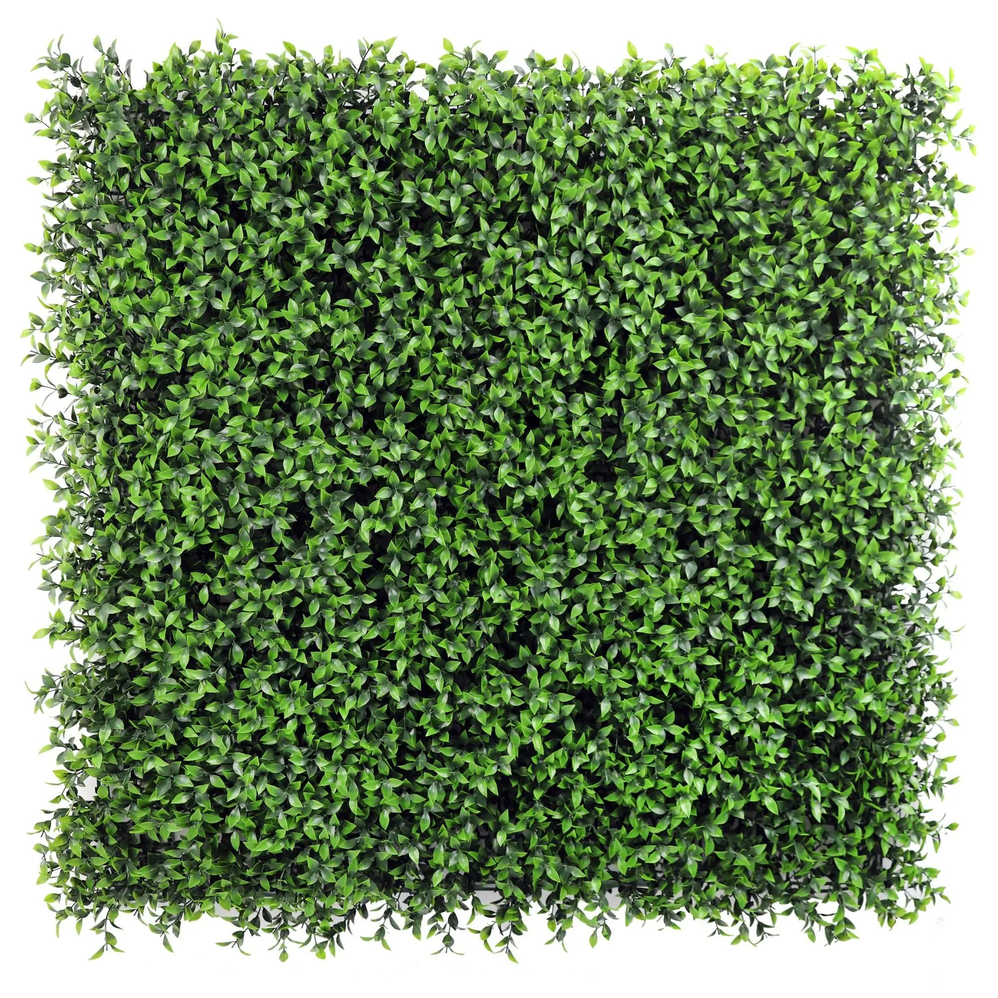 Artificial Ruscus Vertical Garden Green Wall Panel 40×40in 11 SQ FT – UV Resistant – Commercial Grade - Designer Plants USA