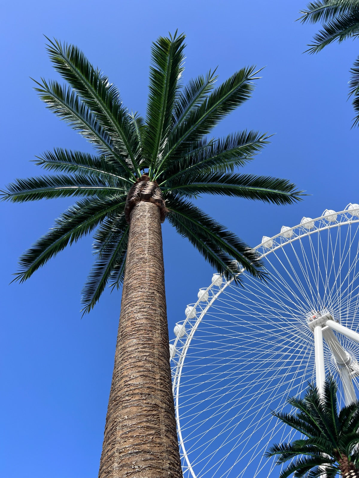 Artificial palm tree with a Ferris wheel against a clear blue sky